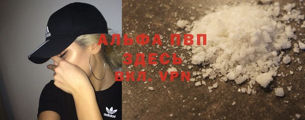 спайс Ладушкин