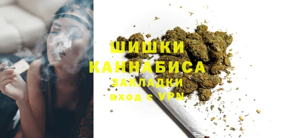 PSILOCYBIN Кулебаки