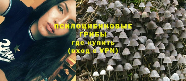 сатива Няндома