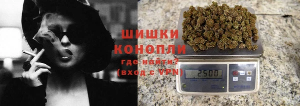 каннабис Ессентукская