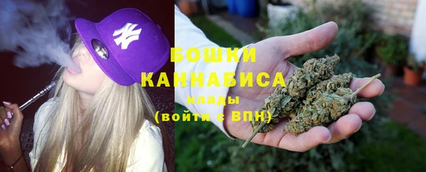PSILOCYBIN Кулебаки