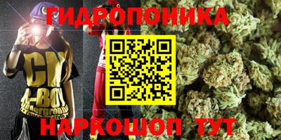 apvp Балашиха