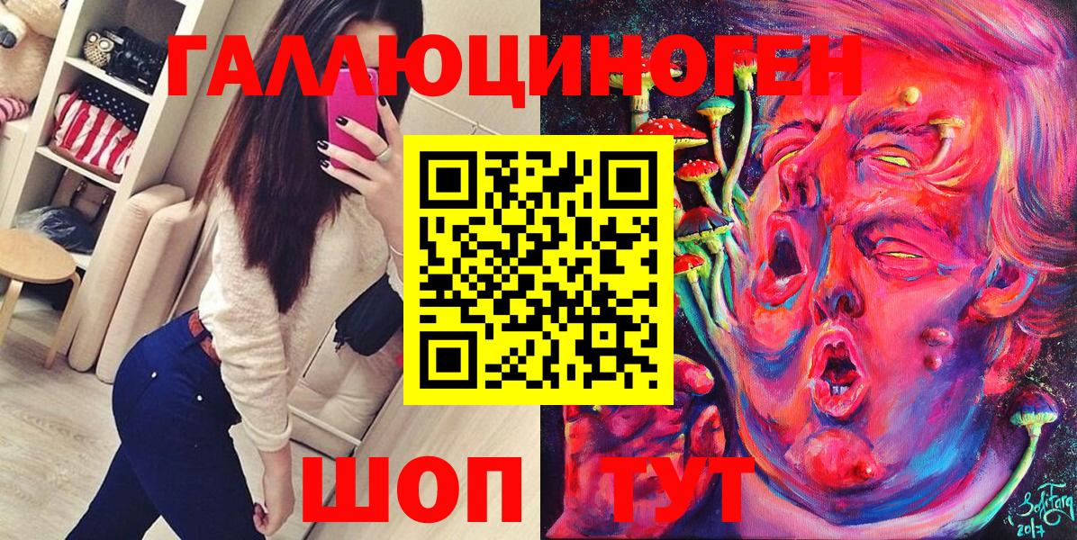 Псилоцибиновые грибы Psilocybe Железногорск
