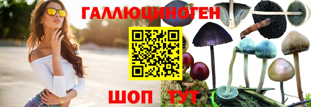 Псилоцибиновые грибы Psilocybine cubensis  Псилоцибиновые грибы Magic Shrooms  Железногорск 