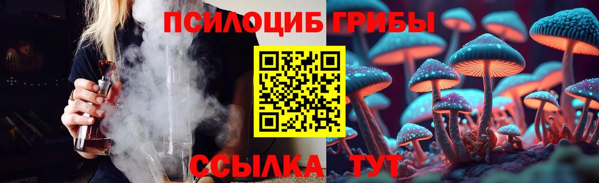 Галлюциногенные грибы Psilocybine cubensis  Псилоцибиновые грибы Magic Shrooms  Железногорск  Вход с VPN 
